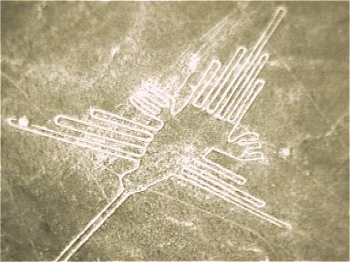 Linea de Nazca Colibri